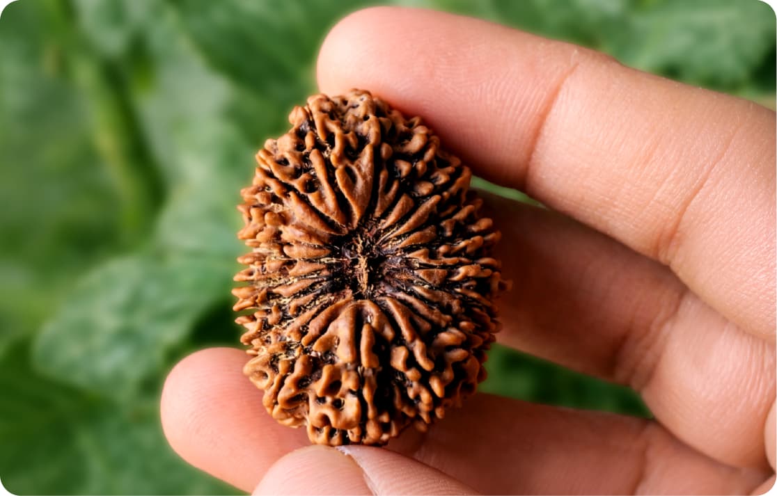 What It Is, How Mukhi Works, and How to Choose...