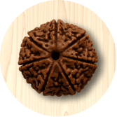 10mm Rudraksha
