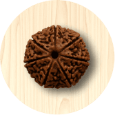 8mm Rudraksha